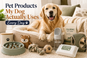 Pet Products My Dog Actually Uses Every Day